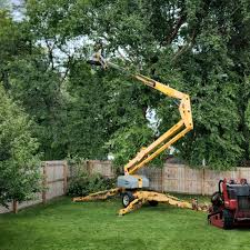 Leaf Removal in Chewelah, WA