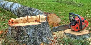 Best Leaf Removal  in Chewelah, WA
