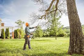  Chewelah, WA Tree Care Pros